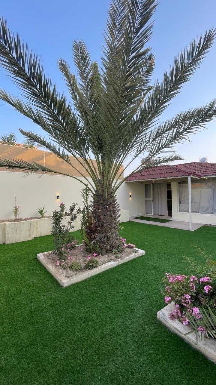 وحدة للايجار اليومي والاسبوعي