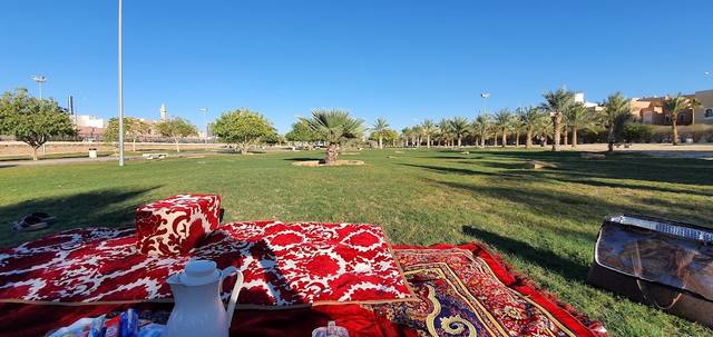 منتزة تلال الرياض (Riyadh Hills Park) - حي الملقا الرياض