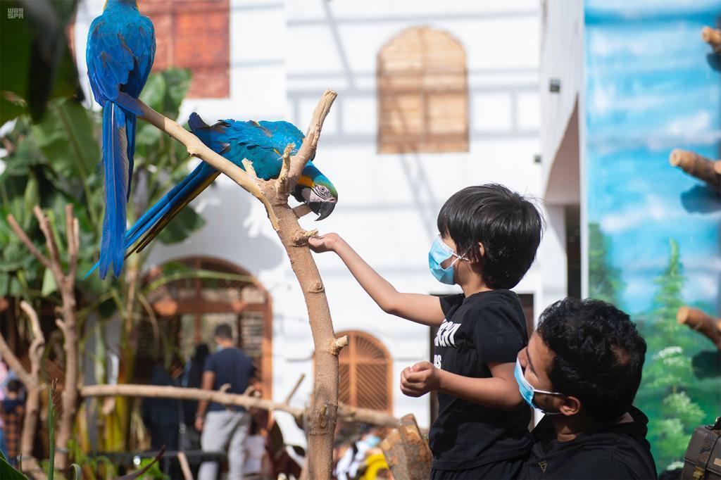 اكتشف اماكن سياحية في الطائف: أكثر من 15وجهة سياحية وترفيهية حديقة الطيور بالهدا - اماكن سياحية في الطائف