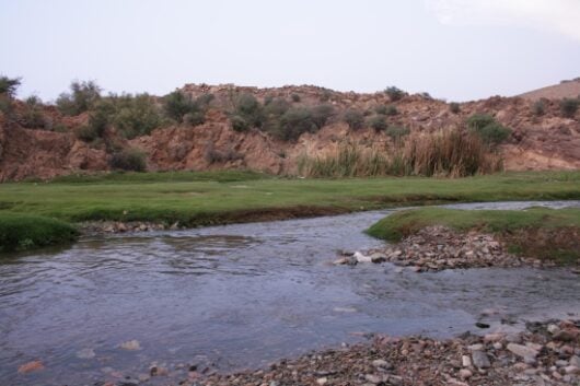 اكتشف اماكن سياحية في الطائف: أكثر من 15وجهة سياحية وترفيهية غدير أبو اللج في الهدا - اماكن سياحية في الطائف مجانًا