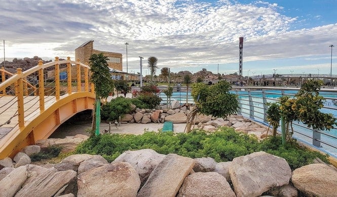 اكتشف اماكن سياحية في الطائف: أكثر من 15وجهة سياحية وترفيهية اماكن سياحية في الطائف للعوائل - حديقة الملك فيصل