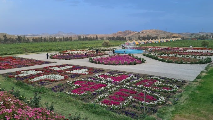 اكتشف اماكن سياحية في الطائف: أكثر من 15وجهة سياحية وترفيهية مزارع الورد الطائفي - اماكن سياحية في الطائف للعوائل مجانًا