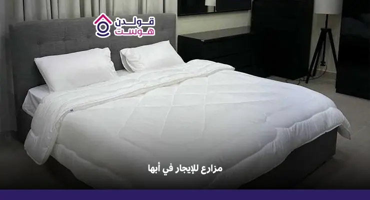 المدونة مزارع للإيجار في أبها